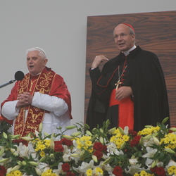 Papstbesuch